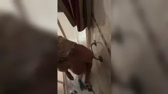 Blondie Fesser onlyfans Foam party2018-01-12