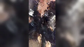 Ella Jolie onlyfans [0119416] Cat women alert pvc to the max joinme in 5 mins channel 941 option 1 #slaves #pvc #whip #ellassissys [2017 03 21]