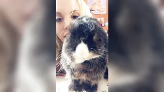 Blondie Fesser onlyfans [1237390] [2018 03 19]