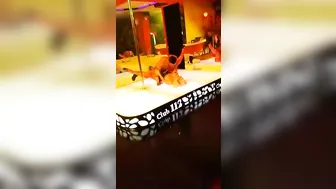 Blondie Fesser onlyfans [0202977] Yesterday In the show [2017 05 05]