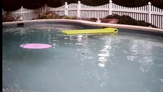 kingsbunny 4.07.2020 220_couple onlyfans