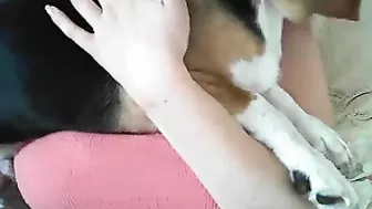 lush_puppies 014 1 5 23738_mfc myfreecams