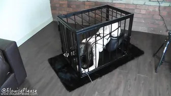 Elouise Please Anal Hooked Caged Violet Wand Amp Dildo