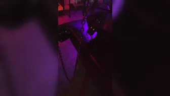 ISTRESS BELLA LUGOSI onlyfans 5de6bc160e21c1a914d58