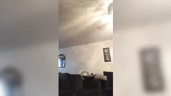 Luna 0307 - onlyfans - 2