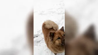 MIA ROSE onlyfans_5e20fc5bacf14cd0cec9b