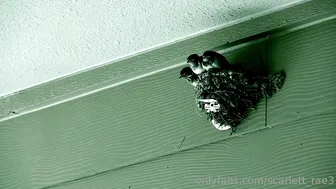 Scarlett Rae 0808 - onlyfans - 23
