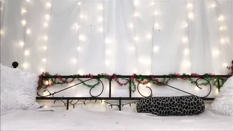 sheenarose 03.01.2019 4312593 I come in from outside laughing about the dare I just ma