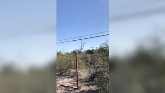 hotwiferio 01.11.2019 13302081