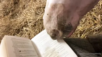 angelwicky 28 08 2020 107259546 That went on for an