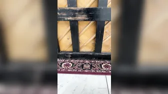 angelwicky 19 12 2019 16729014 This finnish lad was playing over an hour for us All th