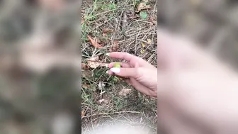 angelwicky 01 10 2019 11609172 Spending all day with Shiney Outside in the countryside