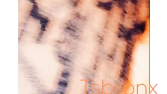 TSBronx [OnlyFans]_Video106