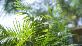 vickyaisha 28 04 2020 35352274 Here s a video I shot last year. Thought I d post it no