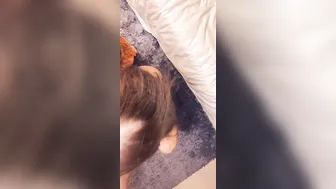 miabandini69 30 01 2020 19282386 We won t stop until we get delicious nectar