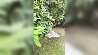 danniiharwood 06 10 2020 133998200 Tuesdays Teasers Its Tuesdays FREE teaser videos to