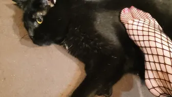 subrinasky 05 08 2020 92696222 Happy Toesday Are you jealous