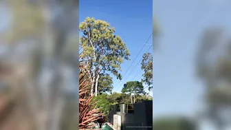 downundercple We had so many people walking past on the other side of the fen