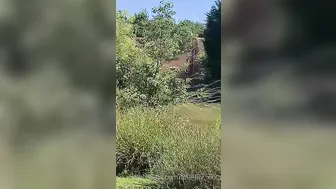 lola lily xxx 30.06.2020 You know I love fishing love being naughty outdoors