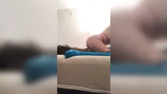 melodyparker69 05.09.2018 ride it better than a tesla