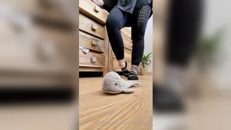 soleneed 4-05-2020-36.61.8667-This guy is used to being pushed around