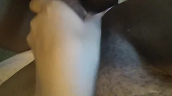 toriann 1.70.4202 32.53.9954