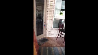 deauxma 2.20.6202 69.80.8619 Video Just me walking around on my bac