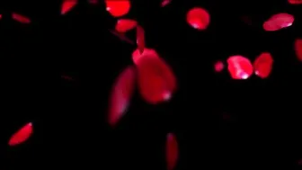 Riley_Cyriis Scared_teen_gagged_and_facefucked ManyVids