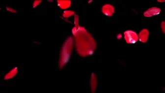 Riley_Cyriis Washing_my_hair_in_the_shower ManyVids