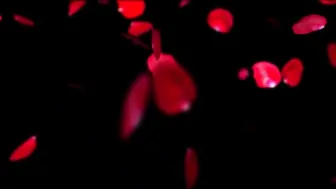 Riley_Cyriis Peeing_into_a_shoe ManyVids