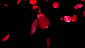 Riley_Cyriis Riley_Cyriis_facial_compilation ManyVids