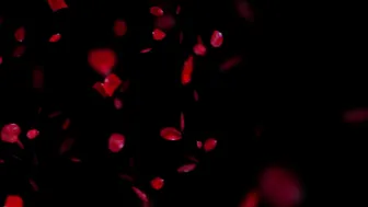 Riley_Cyriis Peeing_into_Daddy's_sloth_mug ManyVids