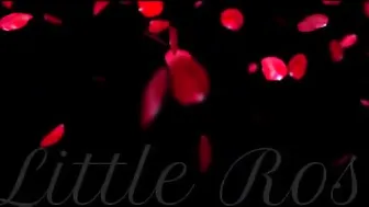 Riley_Cyriis Riley_Cyriis_toy_fucks_her_pussy ManyVids