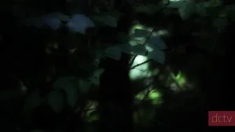 Delilah_Cass FREE-_Flashing_and_Blowjob_by_Waterfall ManyVids