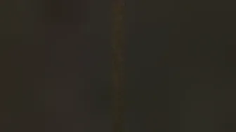 Bossy Delilah 2604 146