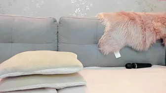 lovely_gigi 7.01.2021 403_female chaturbate