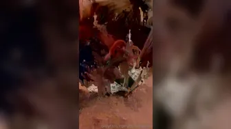 Nadia Love onlyfans 19-05-22 My fav, suckin cock 1080x1920