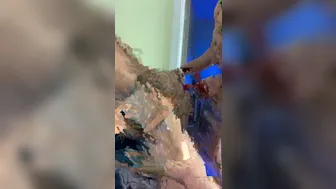 Vanessa Jhons onlyfans 11-11-2019-13928012