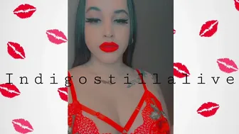 indigostillalive 18 02 2021 06 02 2021 2025619569