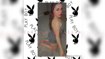 indigostillalive 18 02 2021 23 10 2020 1129099759