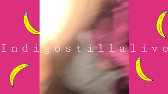 indigostillalive 18 02 2021 02 12 2020 1370102291