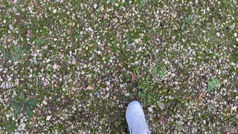 tiffanyleiddi onlyfans 25 11 2020 1333551651