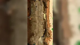 jasminheaney onlyfans 30 08 2020 801295392