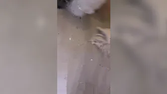 jasminheaney onlyfans 22 04 2020 253210252