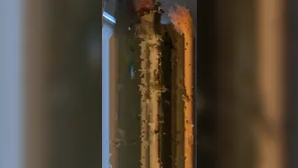 jasminheaney onlyfans 03 09 2020 826919501