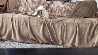 Riley Nixon onlyfans M3R0hPq3ftBcPtg9Ec0Rb8hH0ZBM4C4D