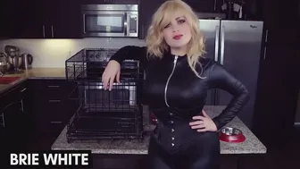 Fallon Fairbanks Puppy Bitch Humiliation Transformation ManyVids