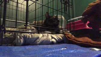 officialnmj 08 01.2020 Continued from the last post Medicated successfully