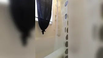 winterlashelldior 28 10 2018 Fresh Pussy Always