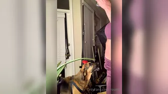 rosetta 05 02.2021  85